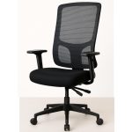 Cadeira de Escritório Tela PRYUS Back System – Cor Preto – 20099 Kairós Office Cadeira de Tela 12